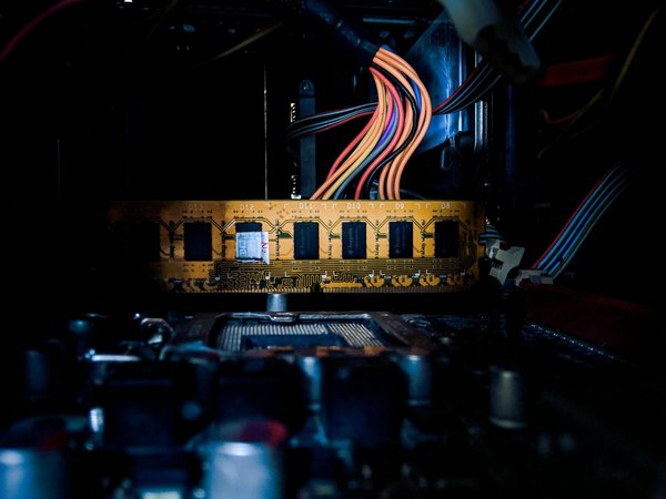 Quelle est la meilleure balance connectée pour suivre votre composition corporelle?